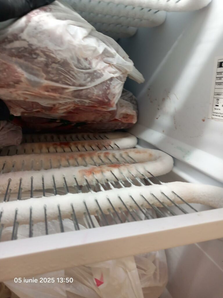 VIDEO FOTO Gândaci vii și morți, mâncare stricată și ustensile murdare: restaurant din Năvodari, sancționat DUR de OPC 23 VIDEO FOTO Gândaci vii și morți, mâncare stricată și ustensile murdare: restaurant din Năvodari, sancționat DUR de OPC WhatsApp Image 2025 06 05 at 17.28.39 2