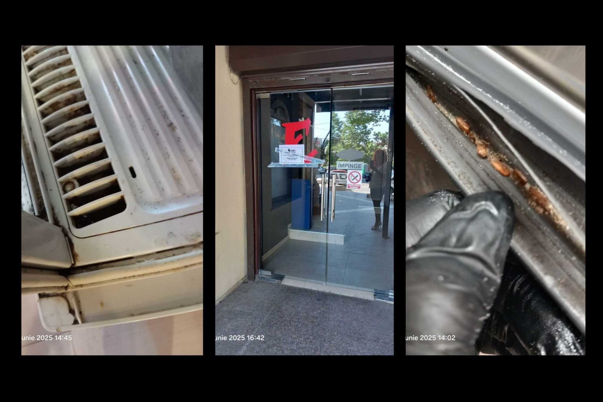 VIDEO FOTO Gândaci vii și morți, mâncare stricată și ustensile murdare: restaurant din Năvodari, sancționat DUR de OPC WhatsApp Image 2025 06 05 at 17.32.28