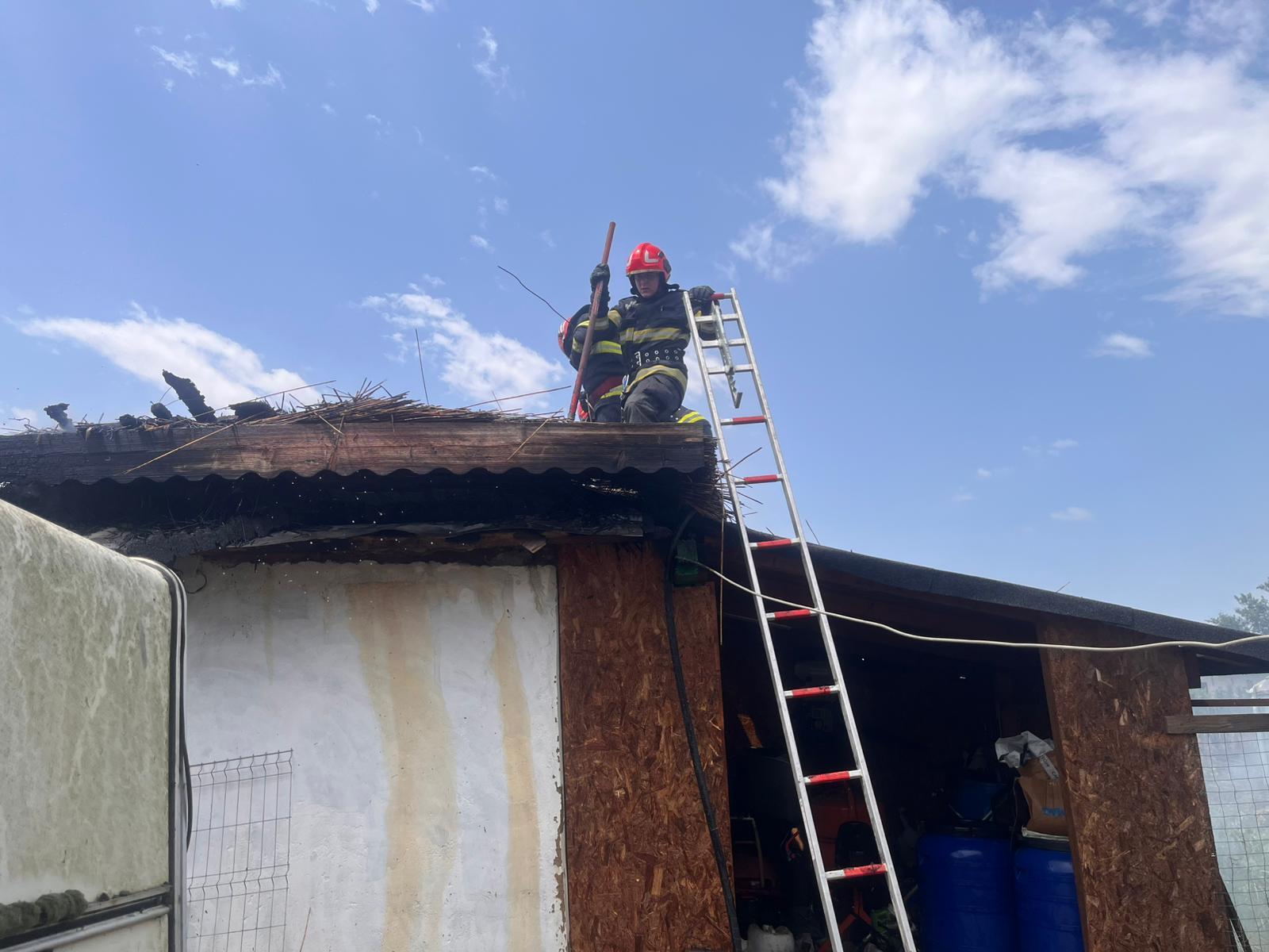 FOTO VIDEO Incendiu de vegetație uscată în județul Tulcea. Flăcările s-au extins la două case și o anexă WhatsApp Image 2025 06 13 at 15.28.32