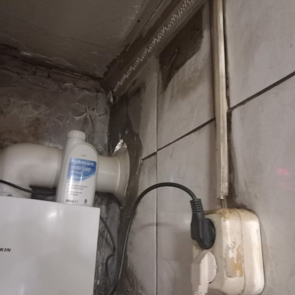 FOTO VIDEO Grăsime, murdărie și colac de WC pe cuptor: Restaurantul indian Ganesha din Constanța, închis de OPC 9 FOTO VIDEO Grăsime, murdărie și colac de WC pe cuptor: Restaurantul indian Ganesha din Constanța, închis de OPC WhatsApp Image 2025 06 14 at 11.47.17 1