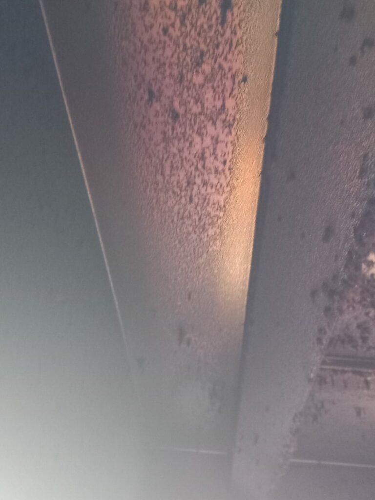 FOTO VIDEO NOI incinte din Constanța închise temporar de Horia Constantinescu. Grăsime, insecte vii și condiții improprii de lucru 20 FOTO VIDEO NOI incinte din Constanța închise temporar de Horia Constantinescu. Grăsime, insecte vii și condiții improprii de lucru WhatsApp Image 2025 06 18 at 16.58.29