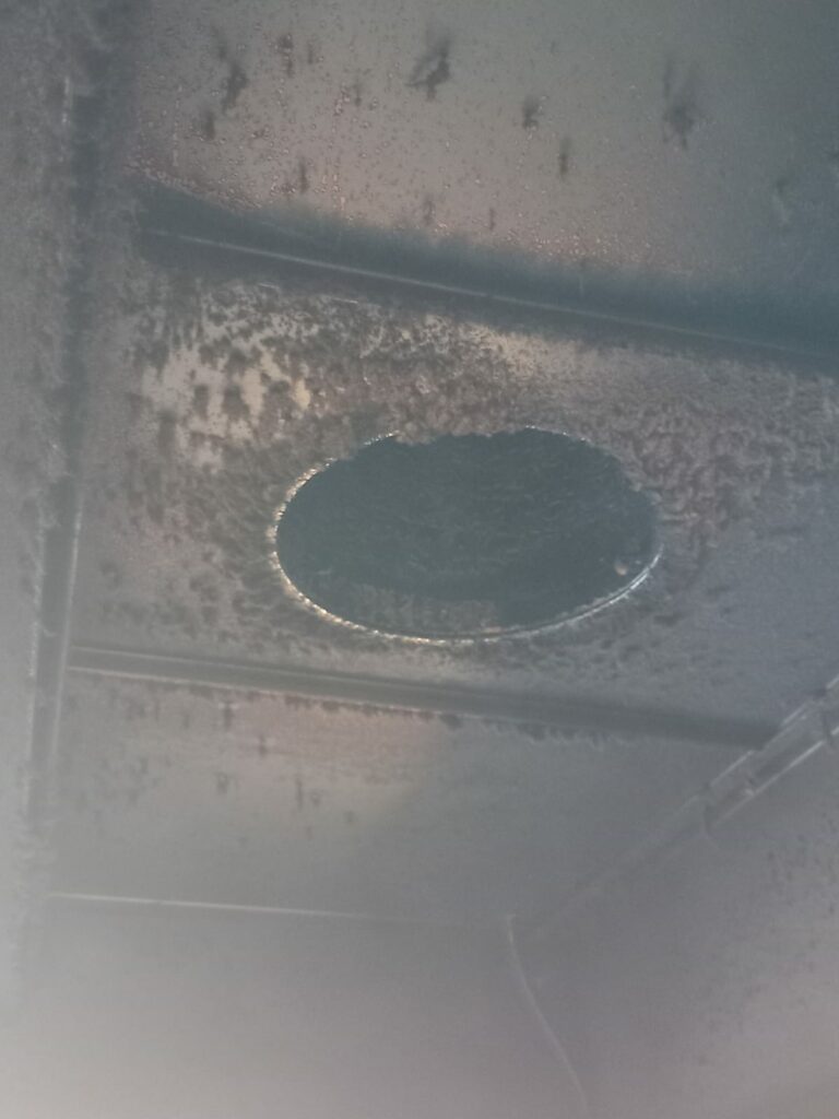 FOTO VIDEO NOI incinte din Constanța închise temporar de Horia Constantinescu. Grăsime, insecte vii și condiții improprii de lucru 19 FOTO VIDEO NOI incinte din Constanța închise temporar de Horia Constantinescu. Grăsime, insecte vii și condiții improprii de lucru WhatsApp Image 2025 06 18 at 16.58.30