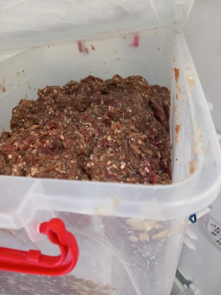 FOTO VIDEO NOI incinte din Constanța închise temporar de Horia Constantinescu. Grăsime, insecte vii și condiții improprii de lucru 23 FOTO VIDEO NOI incinte din Constanța închise temporar de Horia Constantinescu. Grăsime, insecte vii și condiții improprii de lucru WhatsApp Image 2025 06 18 at 17.01.58