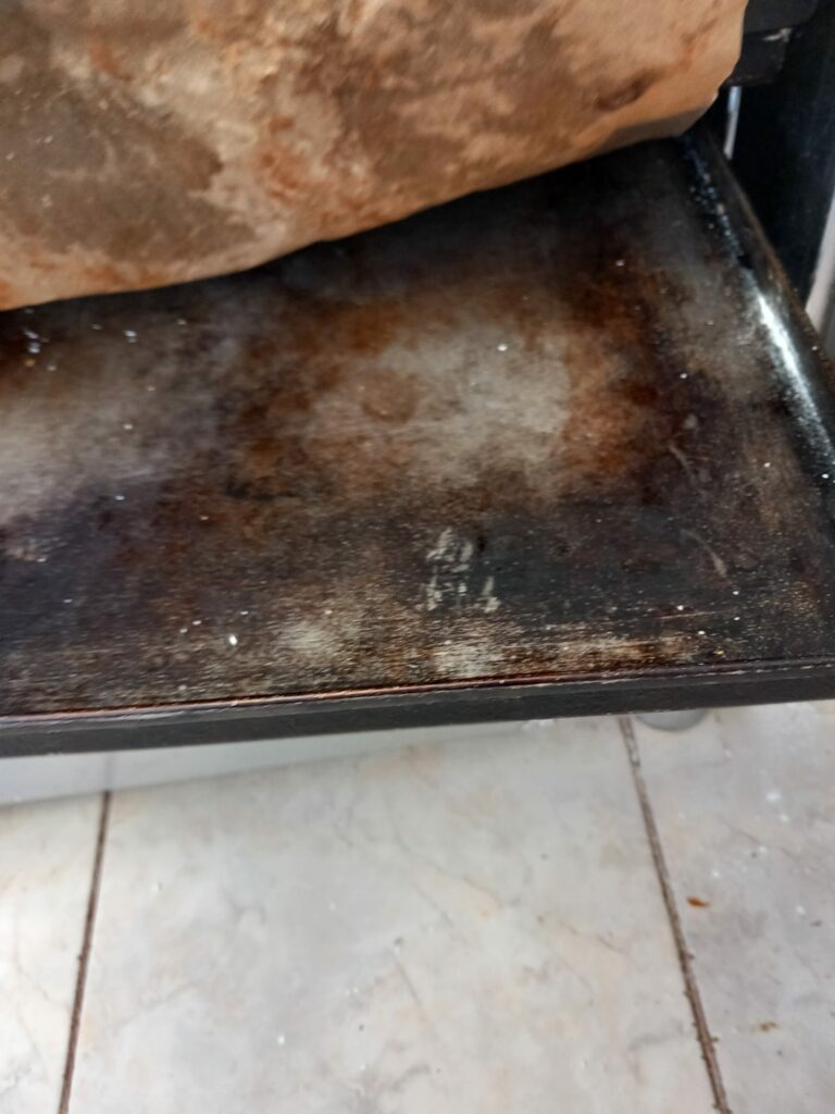 FOTO VIDEO NOI incinte din Constanța închise temporar de Horia Constantinescu. Grăsime, insecte vii și condiții improprii de lucru 21 FOTO VIDEO NOI incinte din Constanța închise temporar de Horia Constantinescu. Grăsime, insecte vii și condiții improprii de lucru WhatsApp Image 2025 06 18 at 17.01.59 1
