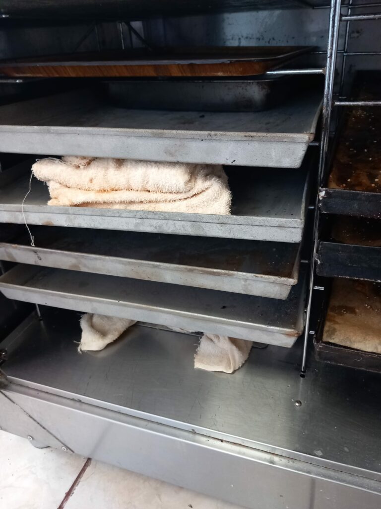 FOTO VIDEO NOI incinte din Constanța închise temporar de Horia Constantinescu. Grăsime, insecte vii și condiții improprii de lucru 15 FOTO VIDEO NOI incinte din Constanța închise temporar de Horia Constantinescu. Grăsime, insecte vii și condiții improprii de lucru WhatsApp Image 2025 06 18 at 17.02.00 1