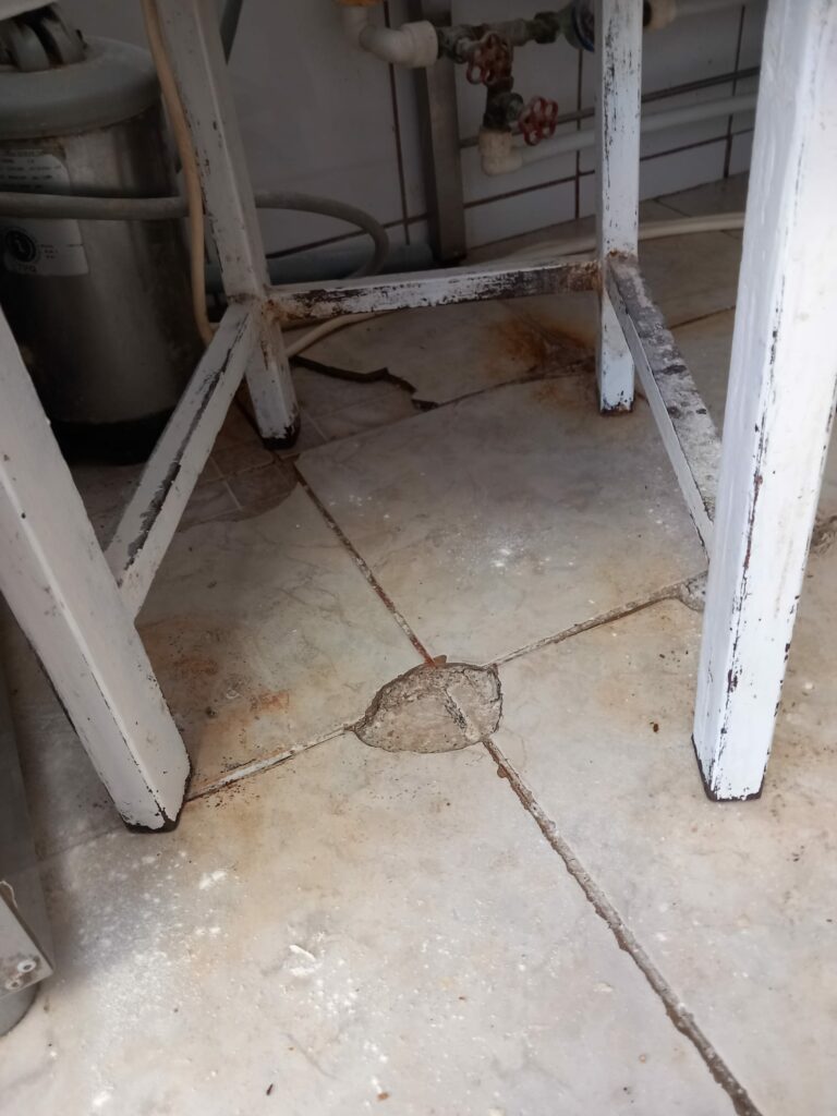 FOTO VIDEO NOI incinte din Constanța închise temporar de Horia Constantinescu. Grăsime, insecte vii și condiții improprii de lucru 16 FOTO VIDEO NOI incinte din Constanța închise temporar de Horia Constantinescu. Grăsime, insecte vii și condiții improprii de lucru WhatsApp Image 2025 06 18 at 17.02.00