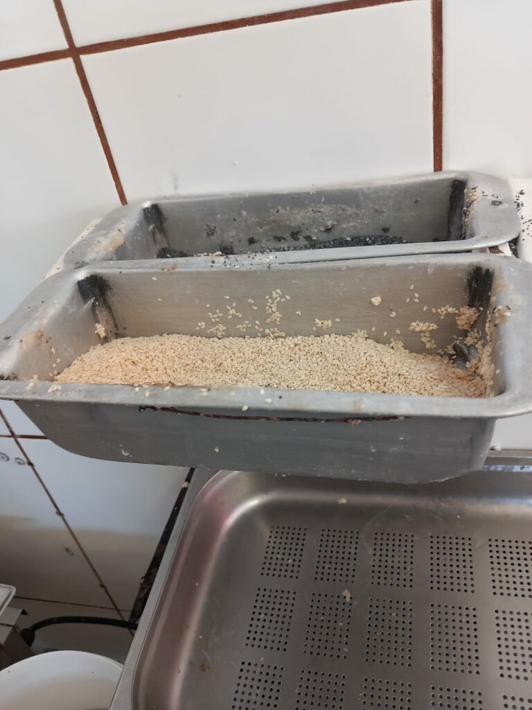FOTO VIDEO NOI incinte din Constanța închise temporar de Horia Constantinescu. Grăsime, insecte vii și condiții improprii de lucru 12 FOTO VIDEO NOI incinte din Constanța închise temporar de Horia Constantinescu. Grăsime, insecte vii și condiții improprii de lucru WhatsApp Image 2025 06 18 at 17.02.01 2