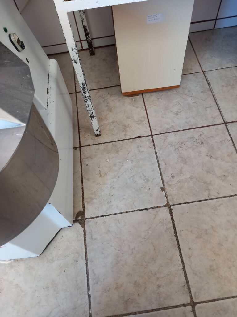FOTO VIDEO NOI incinte din Constanța închise temporar de Horia Constantinescu. Grăsime, insecte vii și condiții improprii de lucru 8 FOTO VIDEO NOI incinte din Constanța închise temporar de Horia Constantinescu. Grăsime, insecte vii și condiții improprii de lucru WhatsApp Image 2025 06 18 at 17.02.03