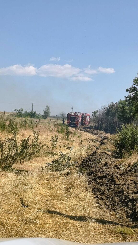 FOTO VIDEO Incendiu de vegetație în Poarta Albă/ Pompierii intervin cu 8 mașini de stingere UPDATE 2 FOTO VIDEO Incendiu de vegetație în Poarta Albă/ Pompierii intervin cu 8 mașini de stingere UPDATE WhatsApp Image 2025 06 24 at 18.11.12 1
