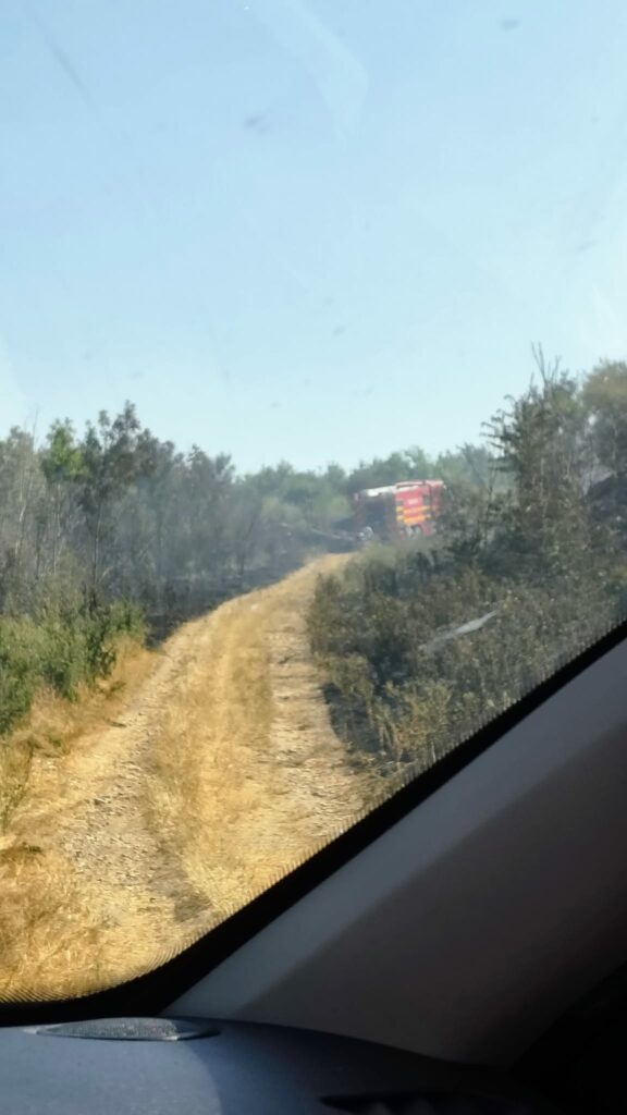 FOTO VIDEO Incendiu de vegetație în Poarta Albă/ Pompierii intervin cu 8 mașini de stingere UPDATE 3 FOTO VIDEO Incendiu de vegetație în Poarta Albă/ Pompierii intervin cu 8 mașini de stingere UPDATE WhatsApp Image 2025 06 24 at 18.11.12