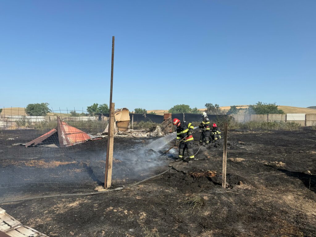 FOTO VIDEO Pompierii intervin la mai multe incendii de culturi agricole în apropiere de Babadag UPDATE 2 FOTO VIDEO Pompierii intervin la mai multe incendii de culturi agricole în apropiere de Babadag UPDATE WhatsApp Image 2025 06 27 at 18.25.31