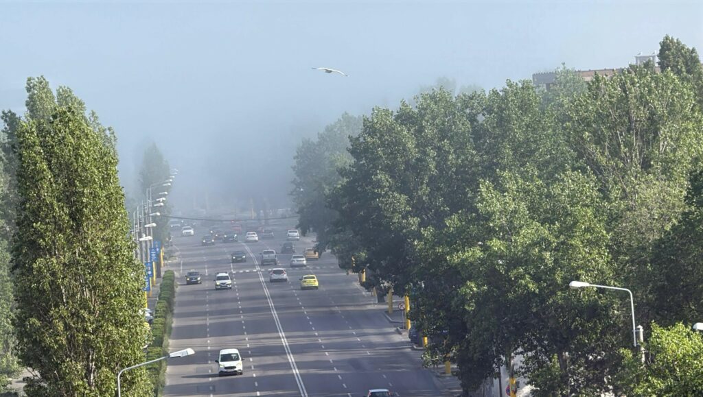FOTO VIDEO Meteorologii au emis Cod Galben de ceață în Constanța 3 FOTO VIDEO Meteorologii au emis Cod Galben de ceață în Constanța a79d64e0 9300 4cc8 b135 d2928dfa4daf