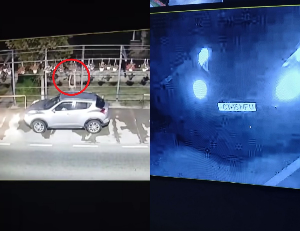 VIDEO O femeie a încercat să fure ghivecele cu mușcate din comuna Nicolae Bălcescu: A fost surprinsă de camerele de supraveghere bun 1