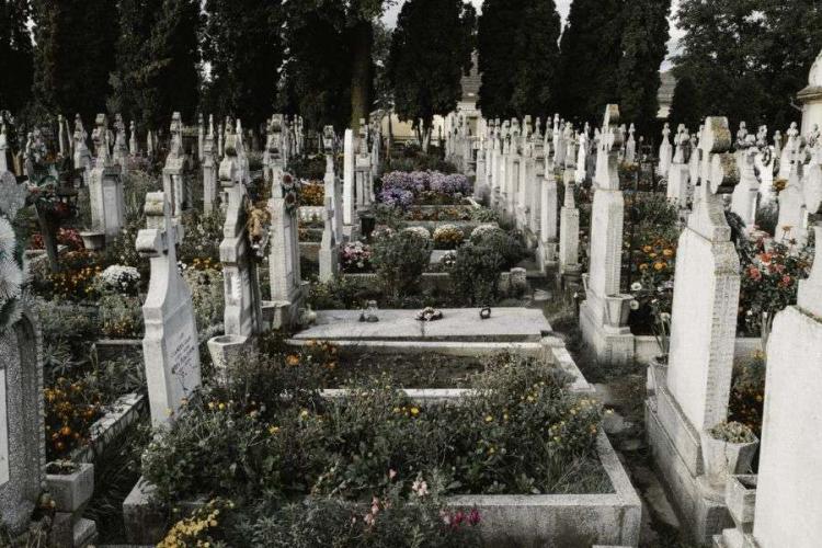 Tentativă bizară de FURT la CIMITIRUL din Baia: Un bărbat a vrut să fure gardul, dar l-a abandonat/ Decizia magistraților cimitir