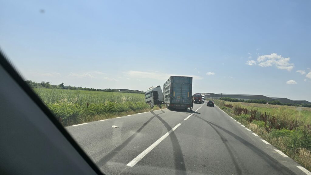 FOTO Un camion care transportă animale a ieșit de pe șosea, în zona satului Culmea din Constanța 7 FOTO Un camion care transportă animale a ieșit de pe șosea, în zona satului Culmea din Constanța cover 1234