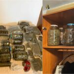 Dealer din Tulcea, condamnat la Constanța: i-a fost găsit 1 kg de cannabis în casă/ A declarat că l-a găsit pe câmp droguri la borcan gasite in casa unui barbat din bucuresti