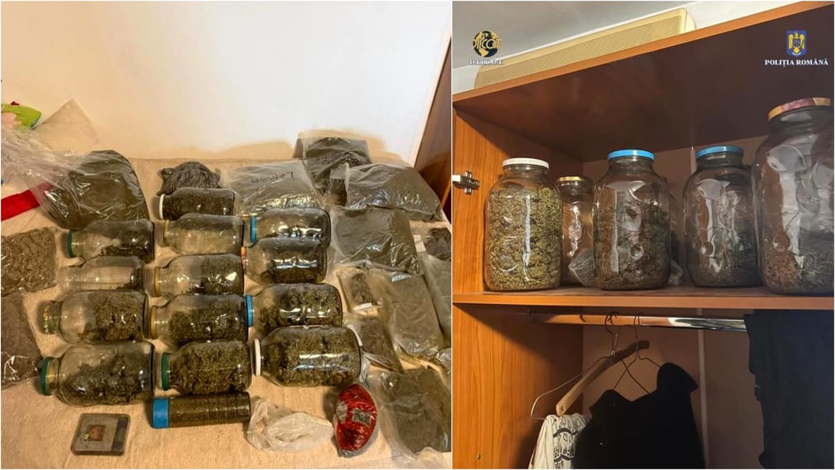 Dealer din Tulcea, condamnat la Constanța: i-a fost găsit 1 kg de cannabis în casă/ A declarat că l-a găsit pe câmp droguri la borcan gasite in casa unui barbat din bucuresti