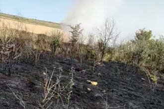 Pompierii intervin pentru stingerea a două incendii de vegetație uscată, în județul Constanța incendiu