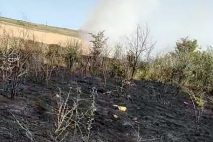Pompierii intervin pentru stingerea a două incendii de vegetație uscată, în județul Constanța incendiu