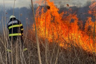 Incendii de vegetație uscată pe malul lacului Siutghiol și în Lespezi, județul Constanța incendiu pompieri vegetatie