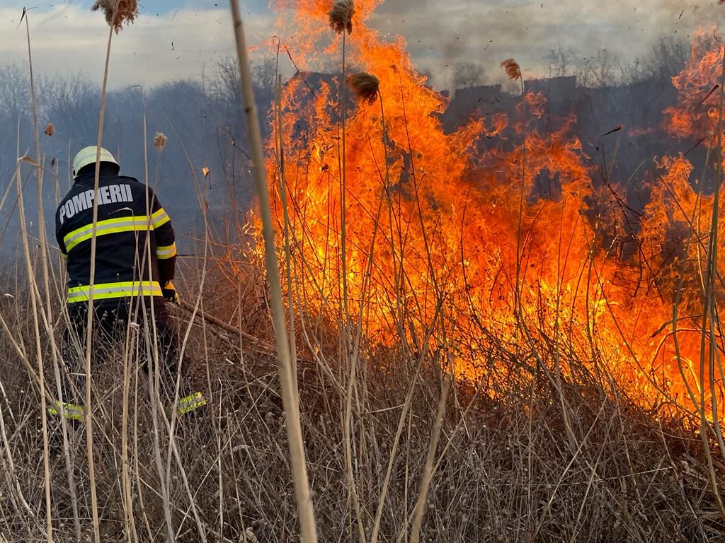 PATRU incendii de vegetație uscată, în același timp, în Constanța și județ incendiu pompieri vegetatie