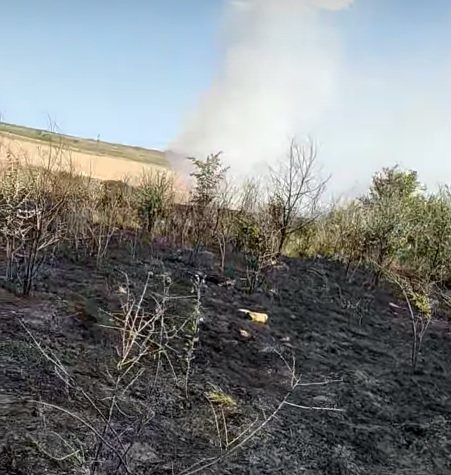 Pompierii intervin pentru stingerea a două incendii de vegetație uscată, în județul Constanța incendiu