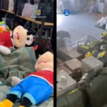 VIDEO Polițiștii constănțeni efectuează percheziții în București și Ilfov, în cadrul operațiunii JUPITER perchezitii buc