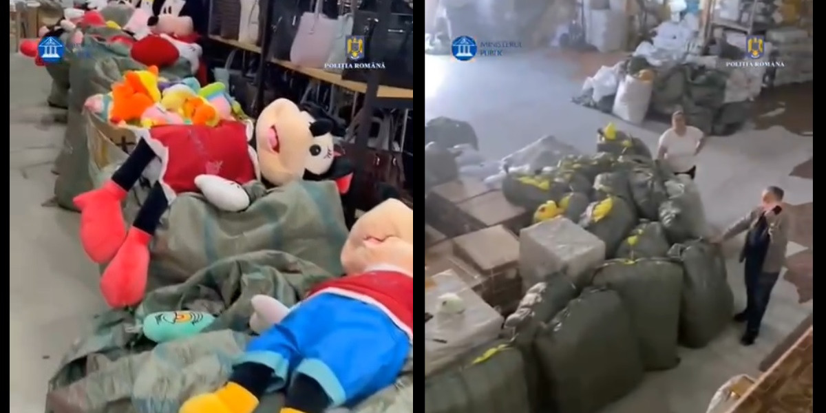 VIDEO Polițiștii constănțeni efectuează percheziții în București și Ilfov, în cadrul operațiunii JUPITER perchezitii buc