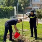VIDEO Polițiștii constănțeni, alături de comunitate pentru un mediu mai curat politie 12