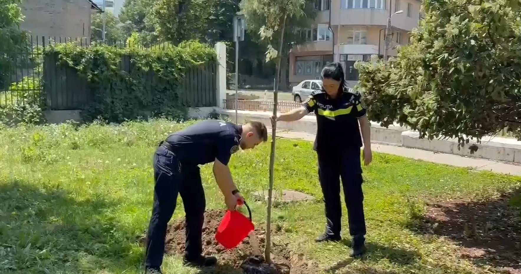 VIDEO Polițiștii constănțeni, alături de comunitate pentru un mediu mai curat politie 12