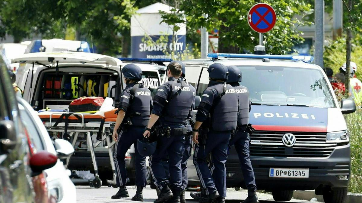 SURSE Doi dintre elevii răniți în atacul din Austria sunt români, unul e în stare critică surse doi dintre elevii raniti in atacul din austria sunt romani 979895