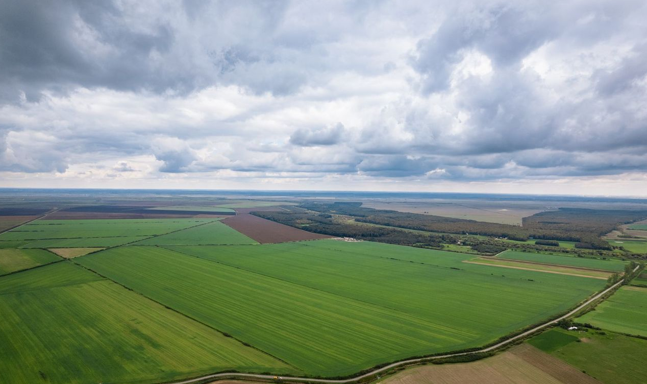 Primăria Eforie scoate la mezat terenuri din Eforie Nord și Sud: Vinde și închiriază terenuri pentru construcții și parcări teren