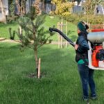 Primăria Constanța apelează la localnici să îngrijească spațiile verzi din oraș 1 18