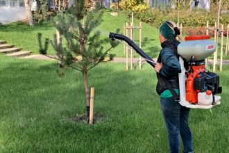 Primăria Constanța apelează la localnici să îngrijească spațiile verzi din oraș 1 18