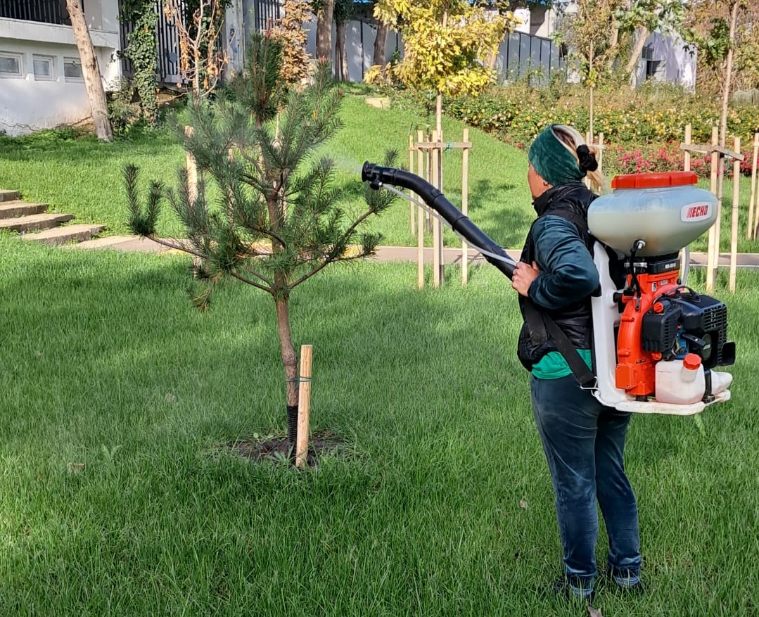 Primăria Constanța apelează la localnici să îngrijească spațiile verzi din oraș 1 18