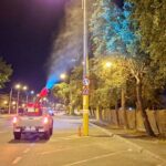 Acțiunile de dezinsecție continuă în municipiul Constanța 1 2 3