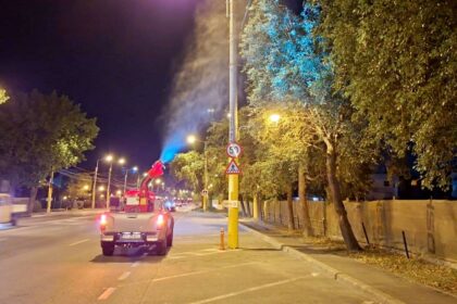 Acțiunile de dezinsecție continuă în municipiul Constanța 1 2 3