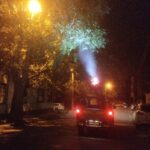 Primăria Constanța anunță noi intervenții pentru combaterea insectelor 1 24