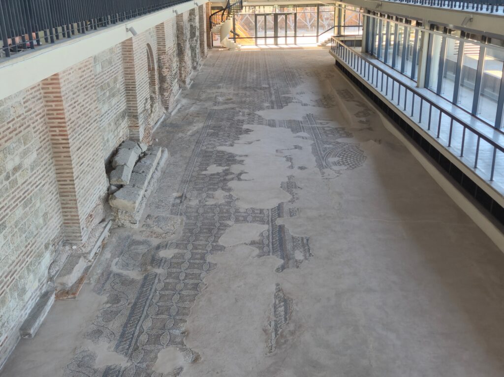 FOTO VIDEO Expoziție în aer liber la Edificiul roman cu mozaic: „File de istorie tomitană” 17 FOTO VIDEO Expoziție în aer liber la Edificiul roman cu mozaic: „File de istorie tomitană” 47b4708d 07d4 4f2f ba7b 000d4005d72c