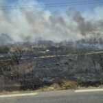 FOTO Incendiu de vegetație la ieșirea din Mangalia spre Albești 518270243 2345312029198610 7684711895813366271 n