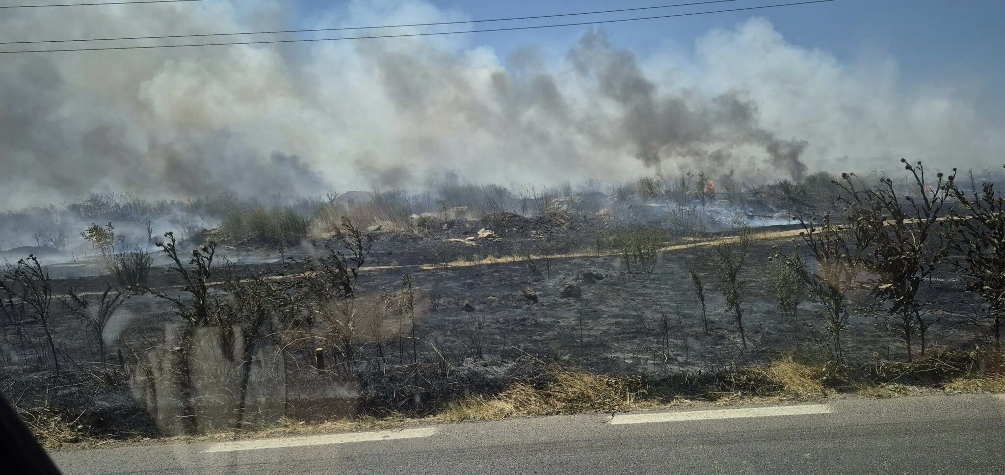 FOTO Incendiu de vegetație la ieșirea din Mangalia spre Albești 518270243 2345312029198610 7684711895813366271 n
