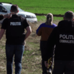 Tentativă de OMOR la Ostrov! Un bărbat a lovit cu SAPA în cap o vârstnică de 82 de ani 62428685