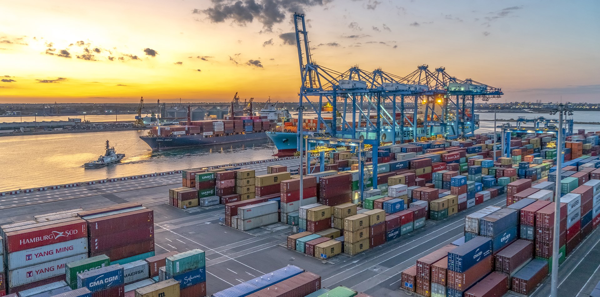 DP World instalează tehnologie de vârf în Portul Constanța. Timpul de inspectare a containerelor va scădea de la peste 5 ore la 2 minute About us hd