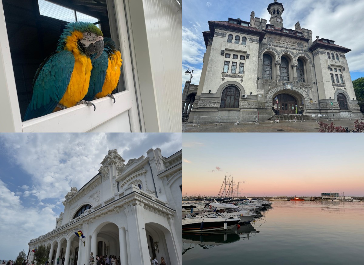 FOTO Constanța, mai mult decât plajă și cluburi: Ce activități poți face în orașul de la malul mării Fotoram.io 2025 07 09T143123.864
