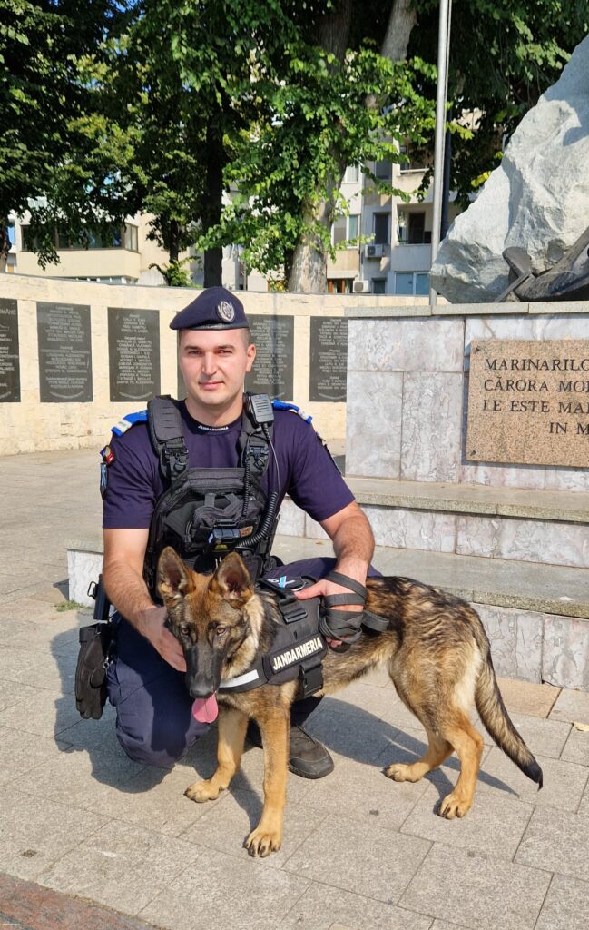 FOTO VIDEO Cel mai nou membru al jandarmilor constănțeni: Aria, cățelușă specializată pe detectarea drogurilor IMG 20250716 WA0015