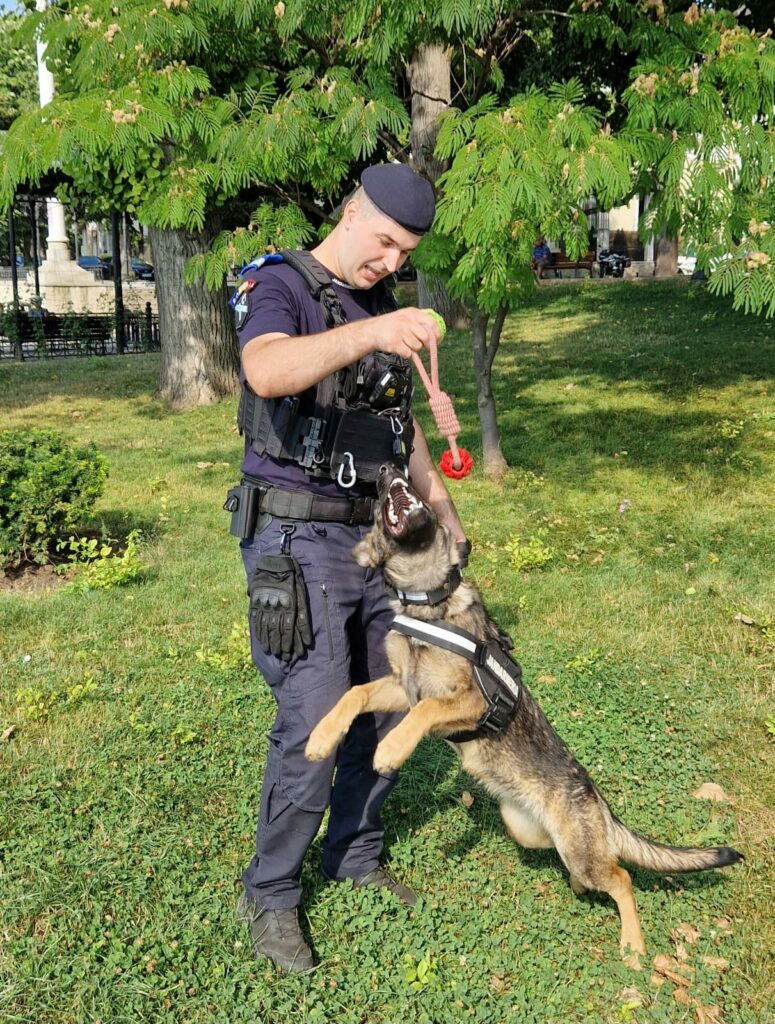 FOTO VIDEO Cel mai nou membru al jandarmilor constănțeni: Aria, cățelușă specializată pe detectarea drogurilor IMG 20250716 WA0016