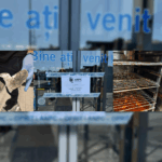 FOTO VIDEO ANPC a închis șase supermarketuri pe litoral: produse expirate, mizerie și practici înșelătoare Image Editor 2025 07 03T183816.005