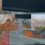 FOTO VIDEO Incendiu de vegetație pe A2, declanșat de o mașină cuprinsă de flăcări UPDATE Image Editor 2025 07 03T185620.004
