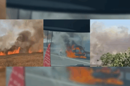 FOTO VIDEO Incendiu de vegetație pe A2, declanșat de o mașină cuprinsă de flăcări UPDATE Image Editor 2025 07 03T185620.004
