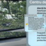 FOTO Cod roșu de furtună. O femeie de 49 de ani a murit în Otopeni, lovită de bucăți de acoperiș Image Editor 2025 07 17T194153.179